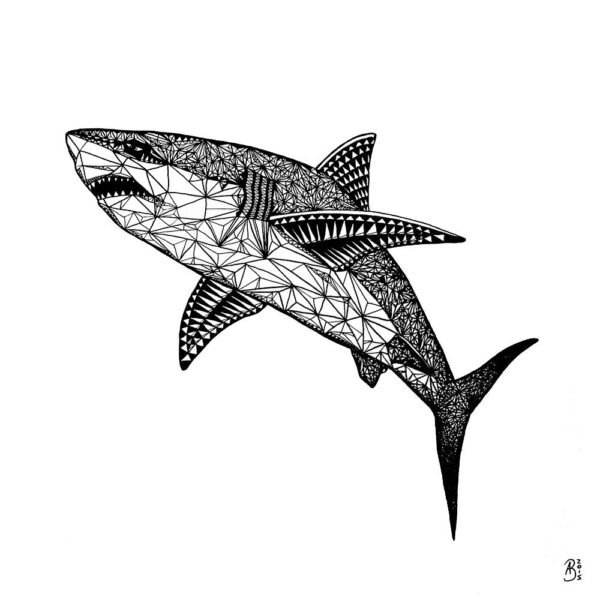 Triangles - Shark