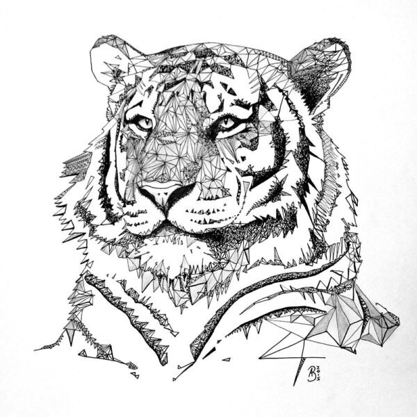 Triangles - Tiger