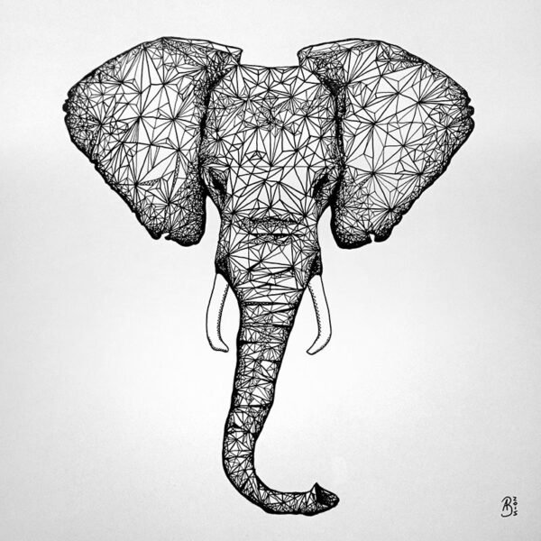 Triangles - Elephant